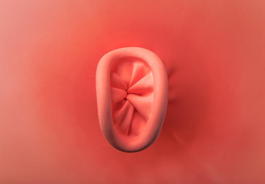 S3X0 AN*L🍑 - dildong